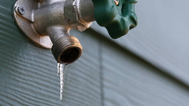 Best Local Plumber Services  in Ballard, UT